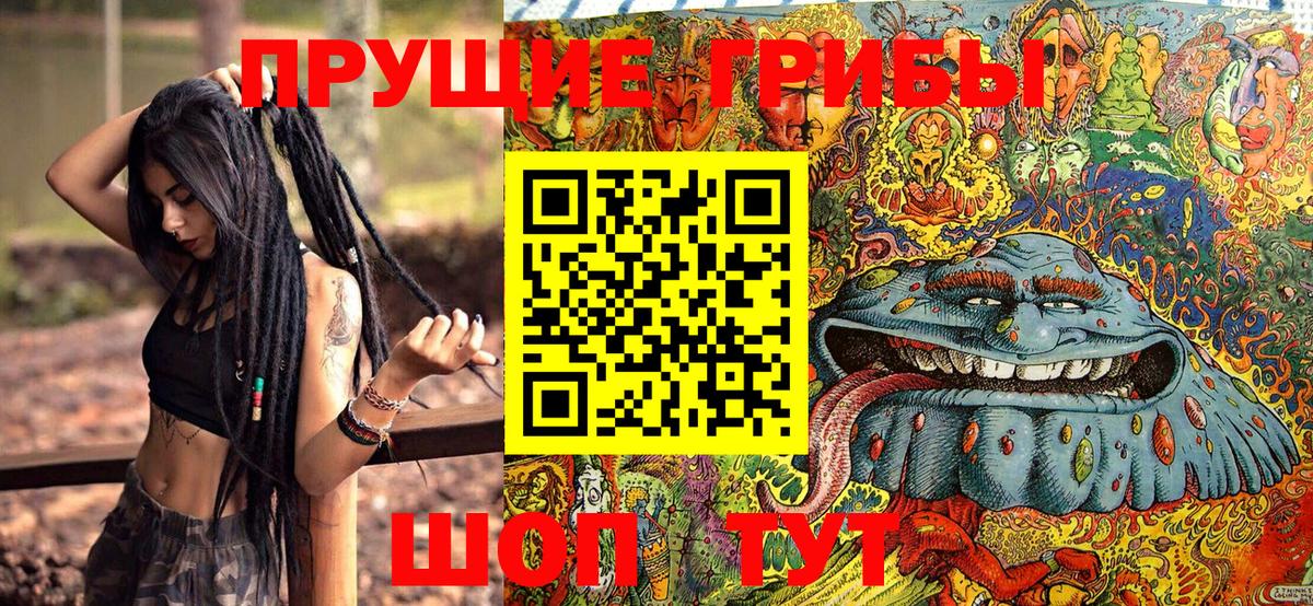 Галлюциногенные грибы мухоморы Избербаш