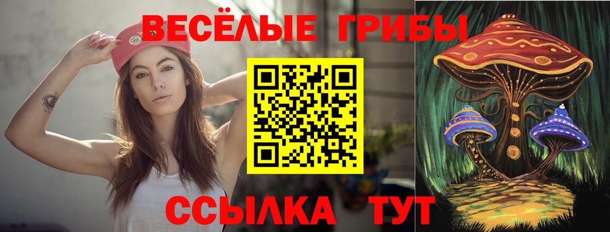 Избербаш  купить наркотики сайты  Вход с VPN  Псилоцибиновые грибы прущие грибы 